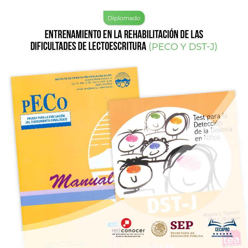 Entrenamiento en la Rehabilitación de las Dificultades de Lectoescritura