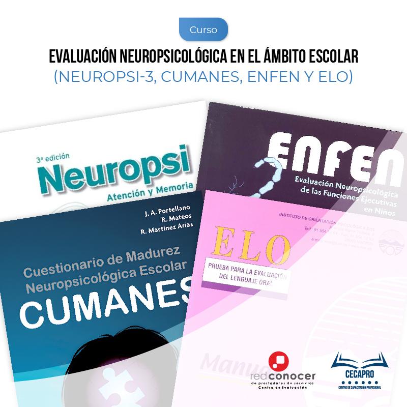 Evaluación Neuropsicológica en el Ámbito Escolar
